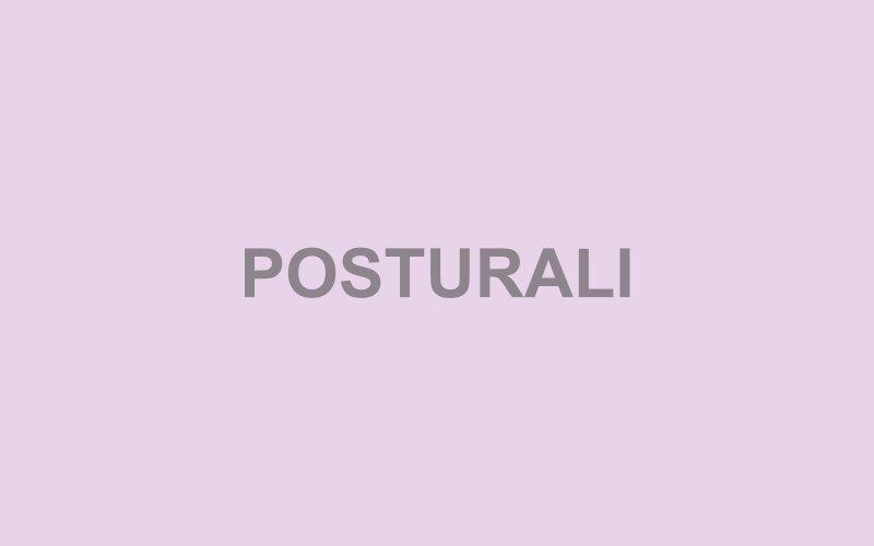 Postural Aids