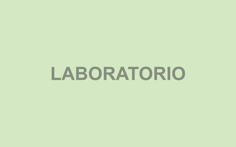 Our Laboratory