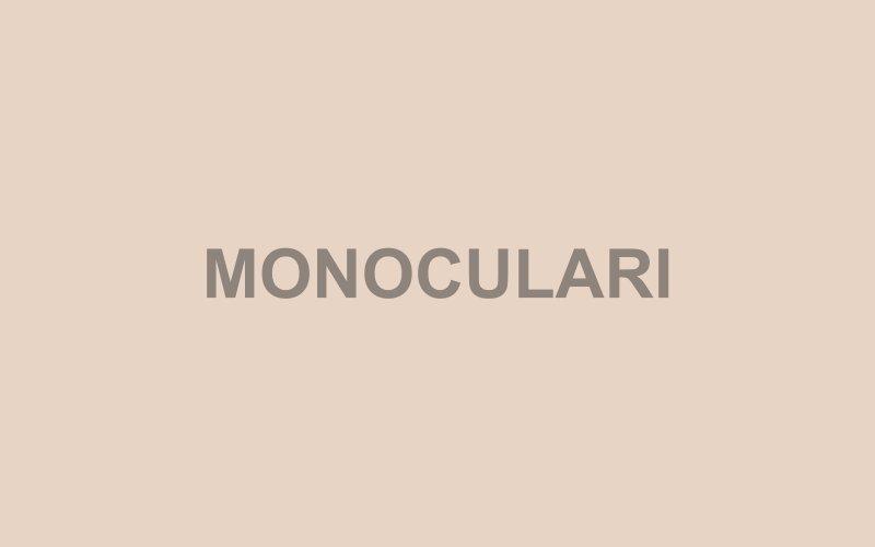 Monocular Systems