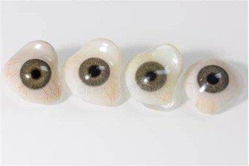 Centro Protesi Oculari